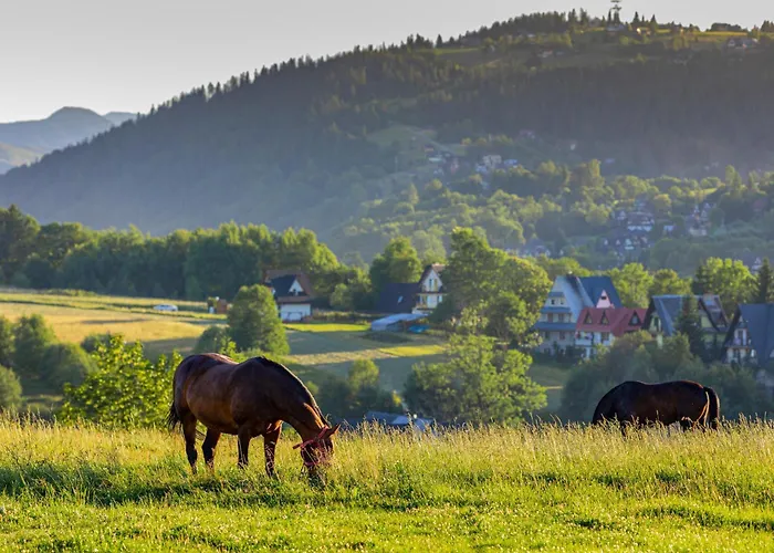 Domek i Pokoje z widokiem na Tatry - U Magdy Zakopane